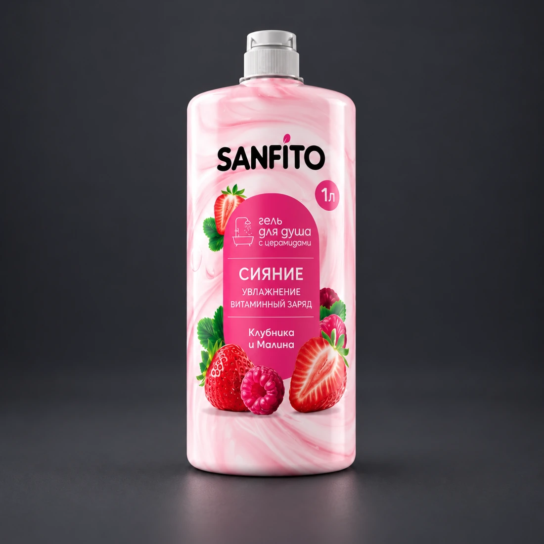 SANFITO - визуализация нашей работы